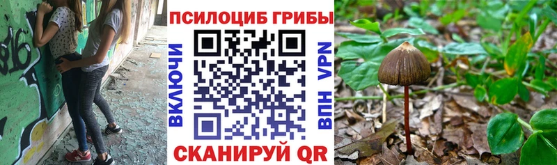 купить наркоту  Евпатория  ОМГ ОМГ рабочий сайт  Псилоцибиновые грибы мицелий 