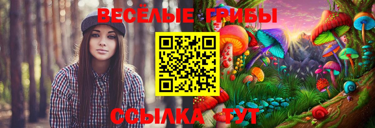 Галлюциногенные грибы ЛСД Евпатория