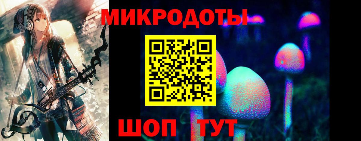 Псилоцибиновые грибы Magic Shrooms  наркотики  Евпатория  Вход с VPN 