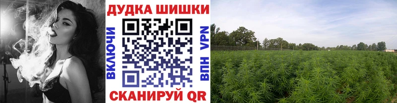 Марихуана ГИДРОПОН продажа наркотиков Евпатория